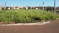  Terreno em Igaraçu do Tietê /SP