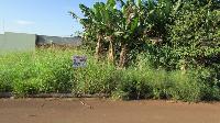 Venda Terreno em Igaraçu do Tietê /SP
